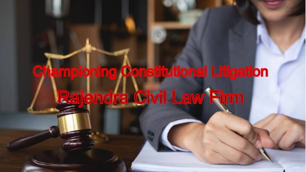 Championing Constitutional Litigation: Key Insights for Success