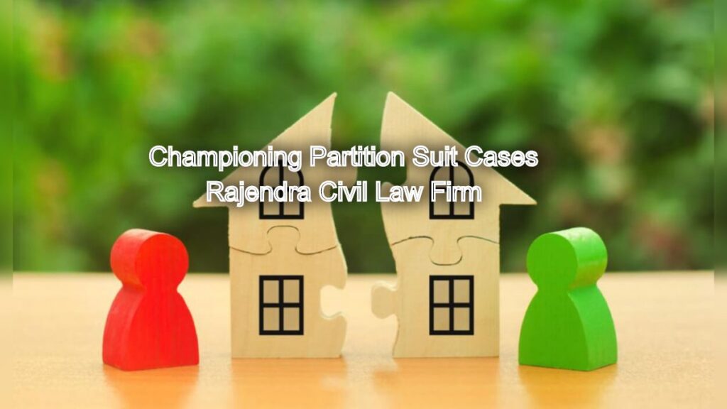 Championing Partition Suit Cases: Expert Legal Advice